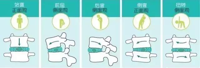 美国小孩长高训练方法,女童长高最快运动方法8-12岁