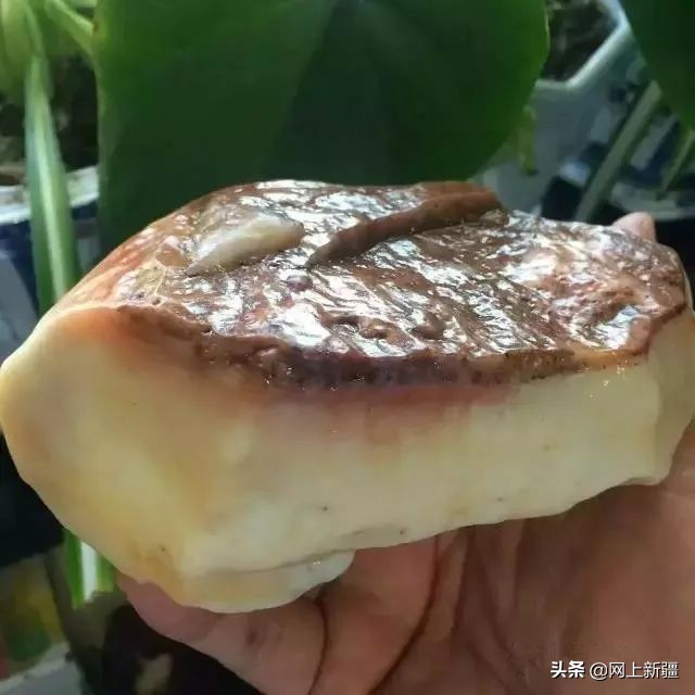 戈壁滩上的宝贝,新疆戈壁沙漠上的宝贝