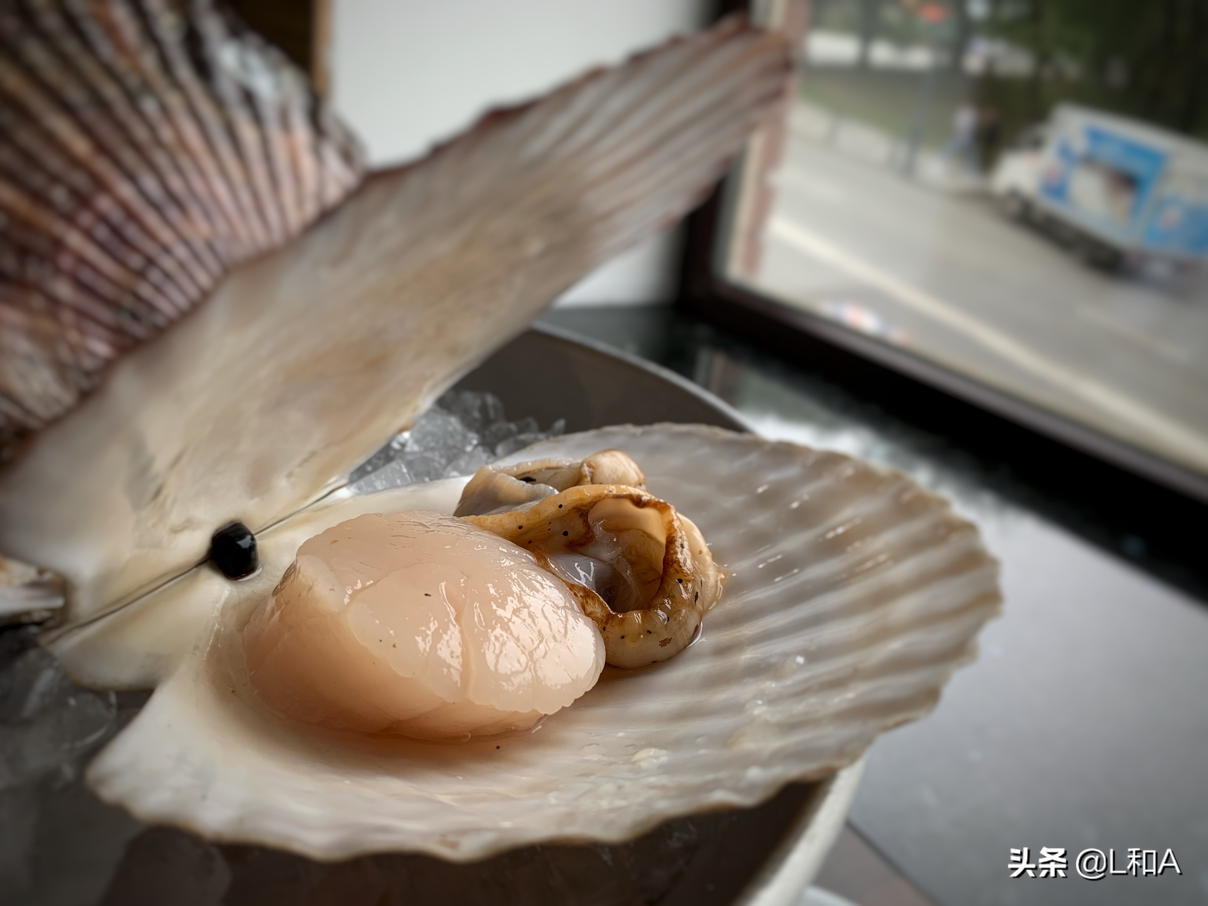 海参崴超市帝王蟹,海参崴帝王蟹地址