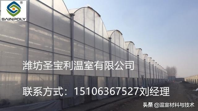 阴雨天怎样降低大棚湿度,草莓大棚湿度大怎么降低湿度