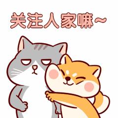 怎样写考研复试个人简历,考研复试简历项目经历写几个好