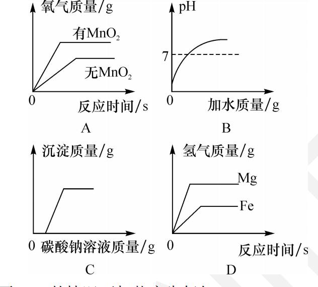 化学坐标曲线图像题讲解,遵义中考金卷化学模拟试卷