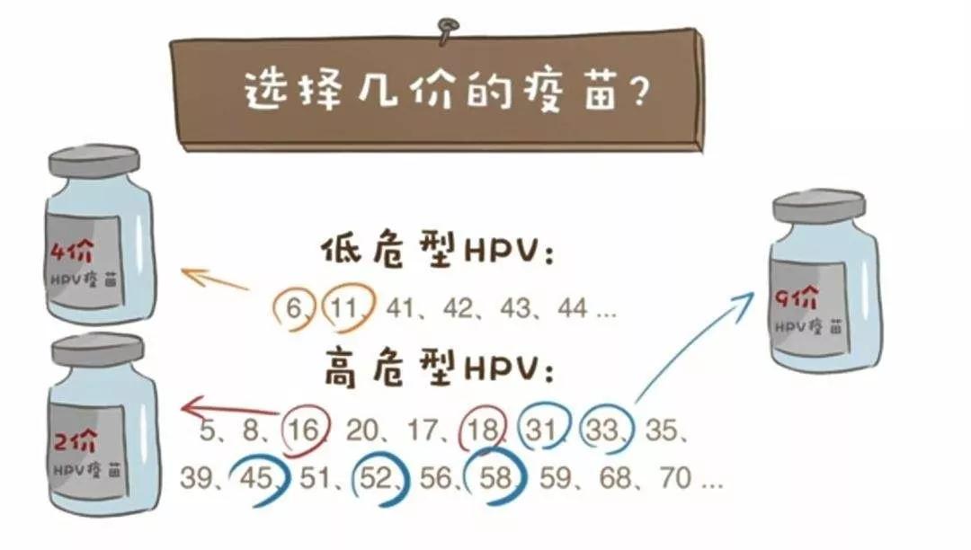 hpv和tct哪个是确诊宫颈癌的,呵护女性健康关注hpv