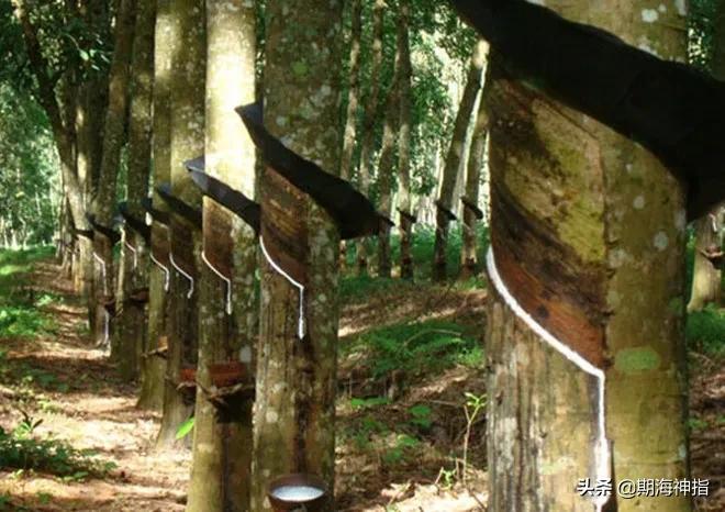 期货交易中的真实事件,期货市场十大血腥事件