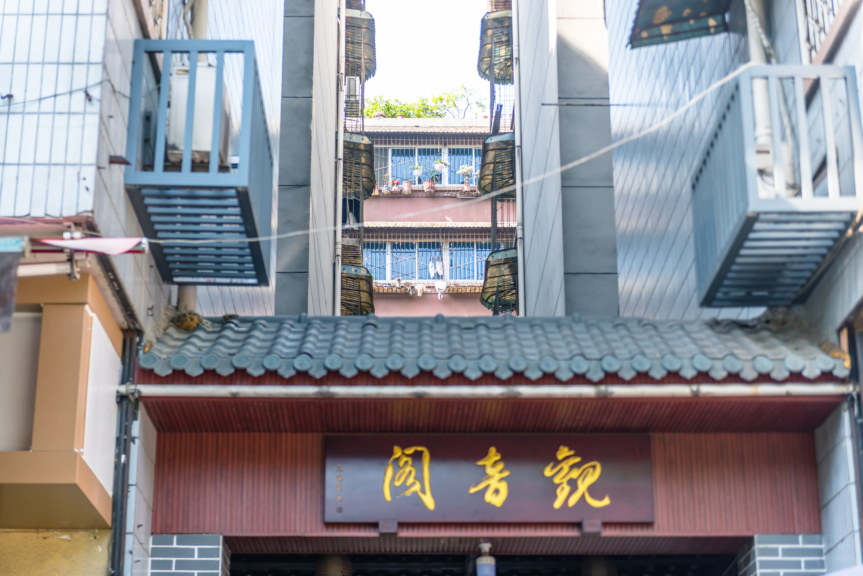 成都老城区改造,成都2024老城区改造