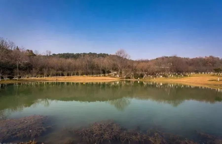 南京免费公园免费开放日一览表,南京免费公园景点推荐