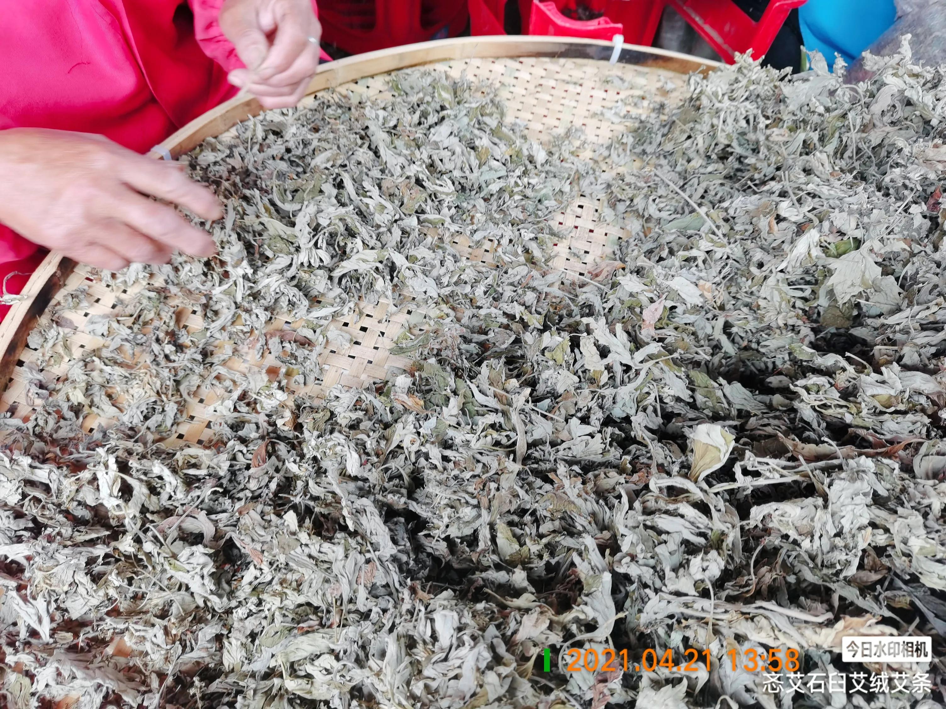 金艾条和陈艾条有什么区别,如何选择真正的好艾条