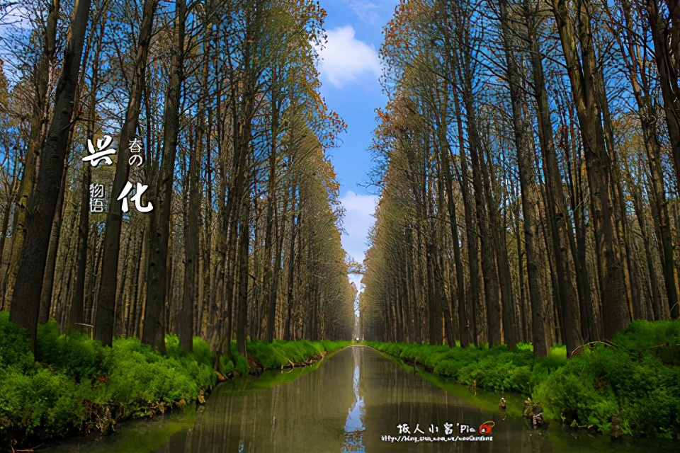 泰州有什么好玩的旅游景点推荐,泰州市有什么旅游景点吗