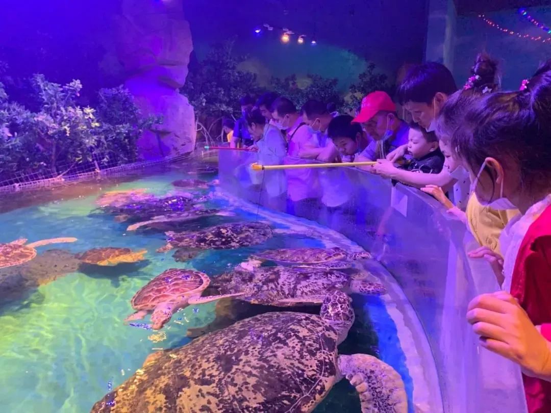 2020儿童滑步车赛事嘉年华,2023中国儿童滑步车超级联赛计划