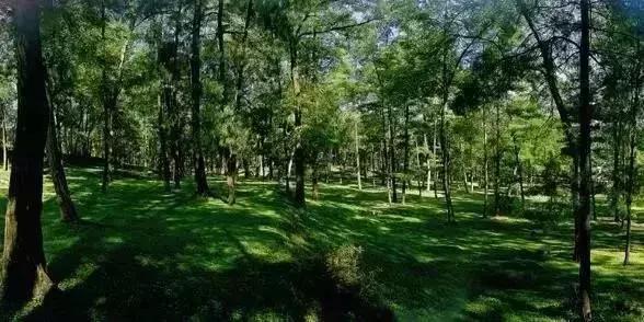 贵州60个重点景区名单,贵州5个风景区