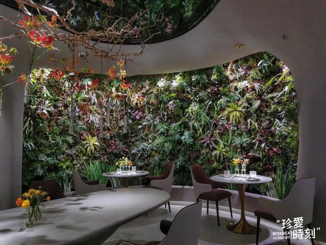 上海新开餐厅名单,上海好吃环境又优雅的餐厅推荐