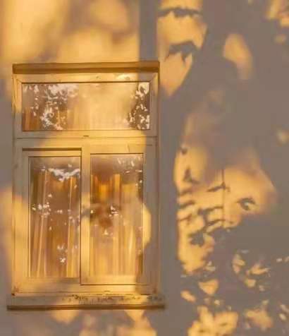 爸爸要搞期货投资,该怎么劝阻他别上当受骗?