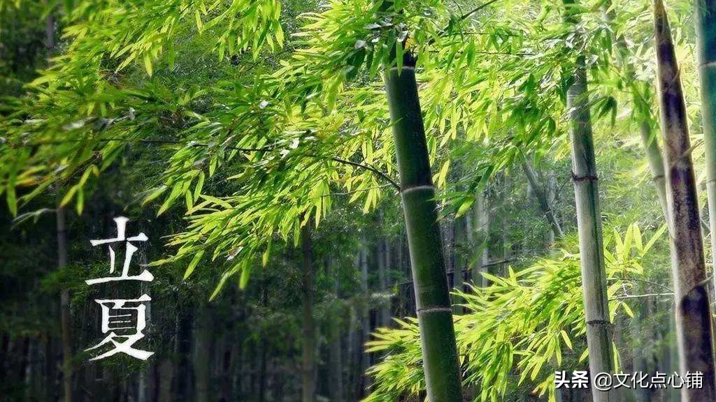 时光荏苒念清欢,岁月静好唯美句子古诗