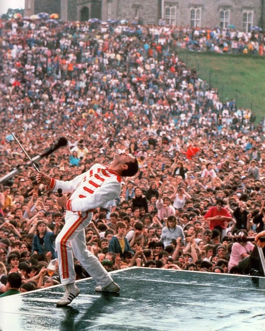 狂想“波西米亚”|经典不落幕，传奇留心间！