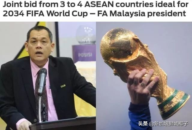 如果胜新加坡能进世界杯吗,新加坡有没有进世界杯