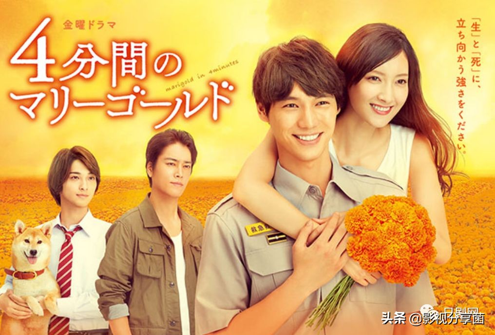 2019秋季日剧,2020年冬季档日剧盘点