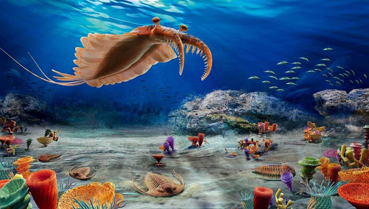 寒武纪生命大爆发与达尔文进化论,达尔文进化论被推翻的证据