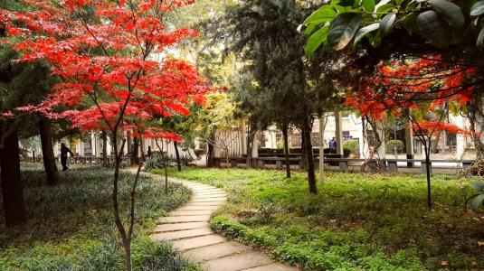 这所一直“西行”的语言类大学，开创语言教学的新方向，潜力无限