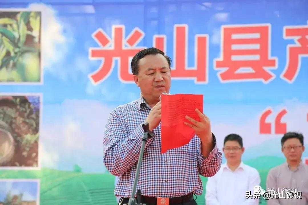 光山斗茶大赛完整版,信阳斗茶大赛获奖