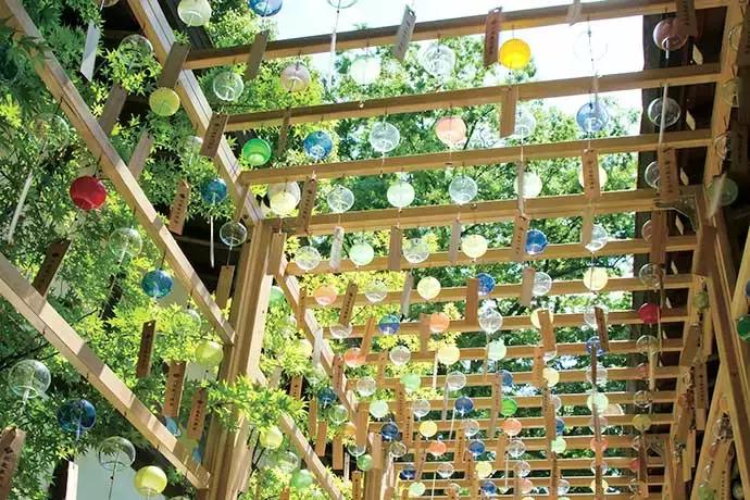 日本过年去寺庙祈福,日本新年神社