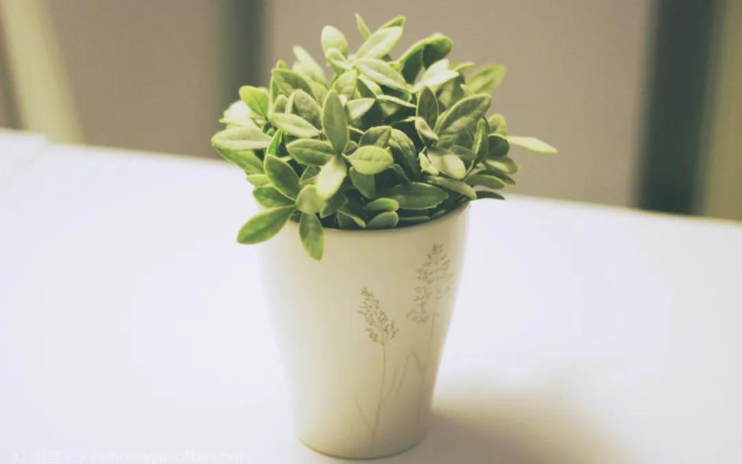 德语短的至理名言,德语句子励志语录短句摘抄