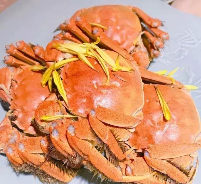 年夜饭最好的餐厅,高逼格年夜饭饭店