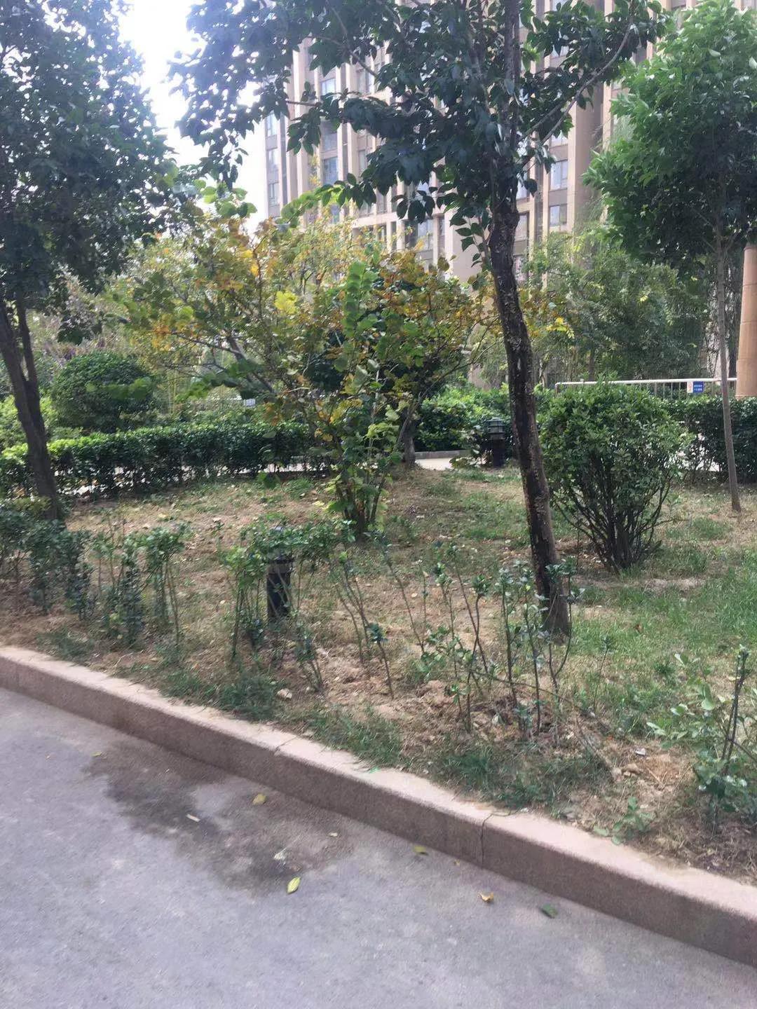 2022年郑州买房记录,郑州买房记录