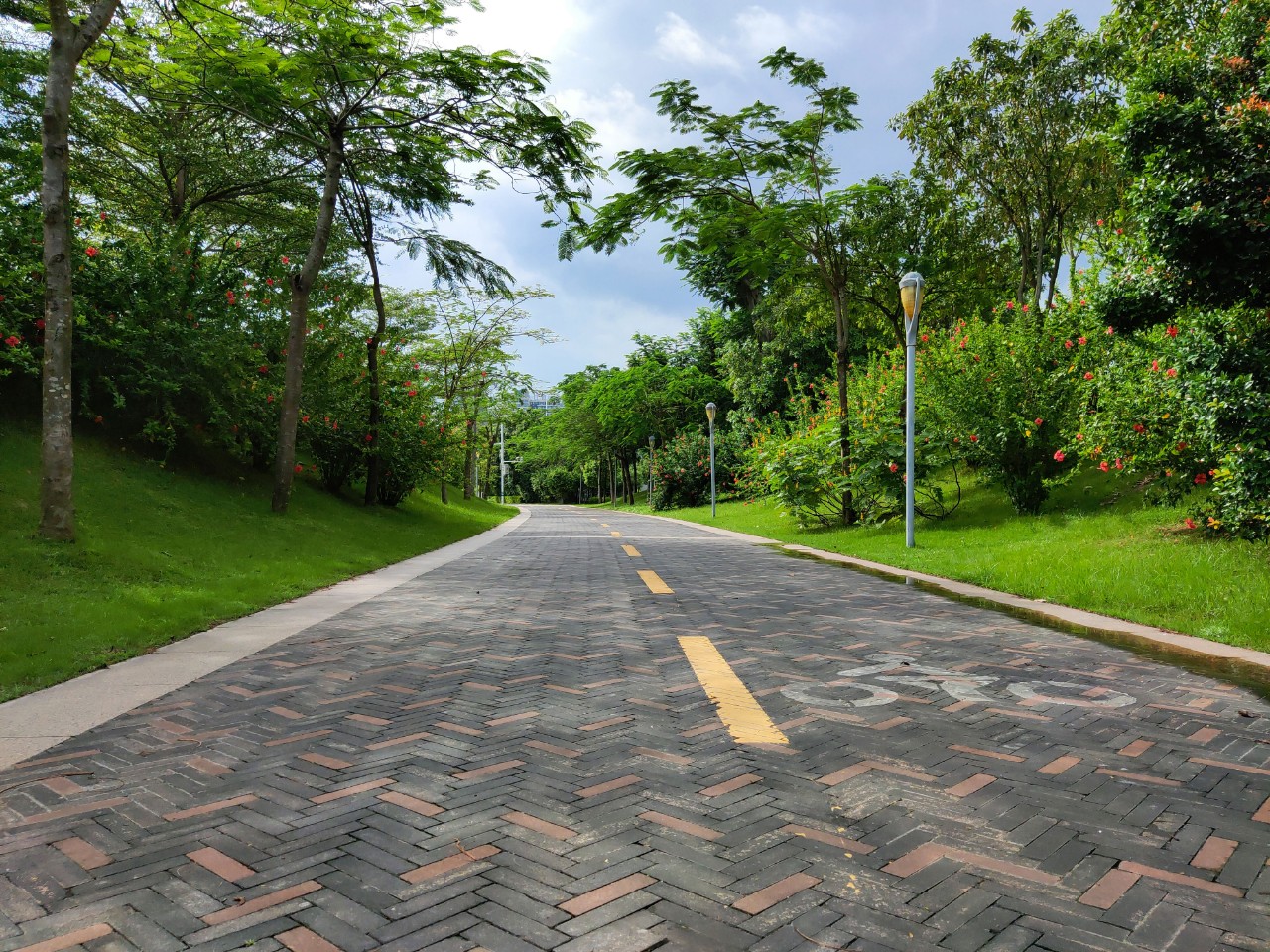 魅族16spro特别版,魅族16spro拆解