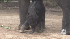 他们被杀之后，依然在爱你