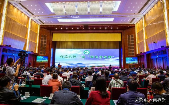 云南名贵特产排名前十名,云南十佳茗品