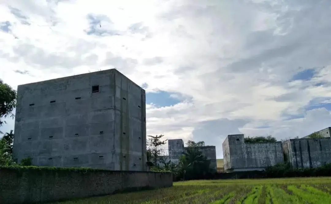 燕窝的故事大全视频,燕窝相关的故事