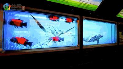 新能源车惊现黑科技,汽车匪夷所思的黑科技