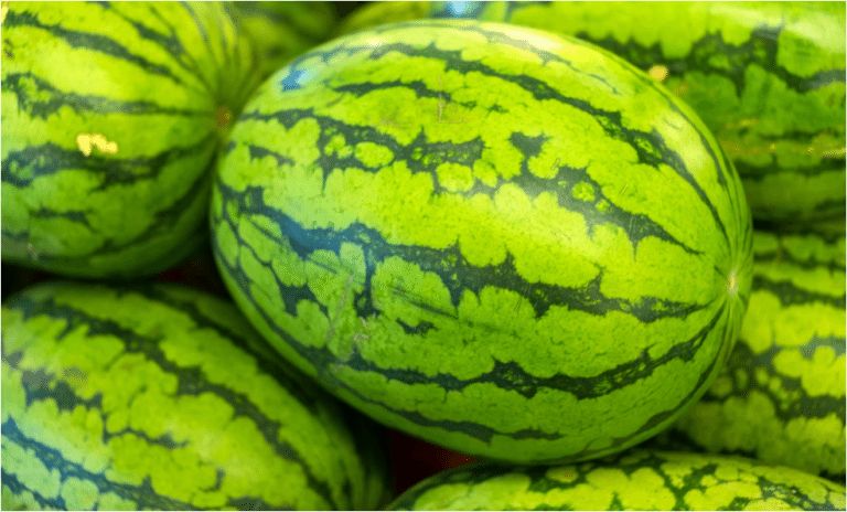 中国出口缅甸西瓜价格,缅甸西瓜出口