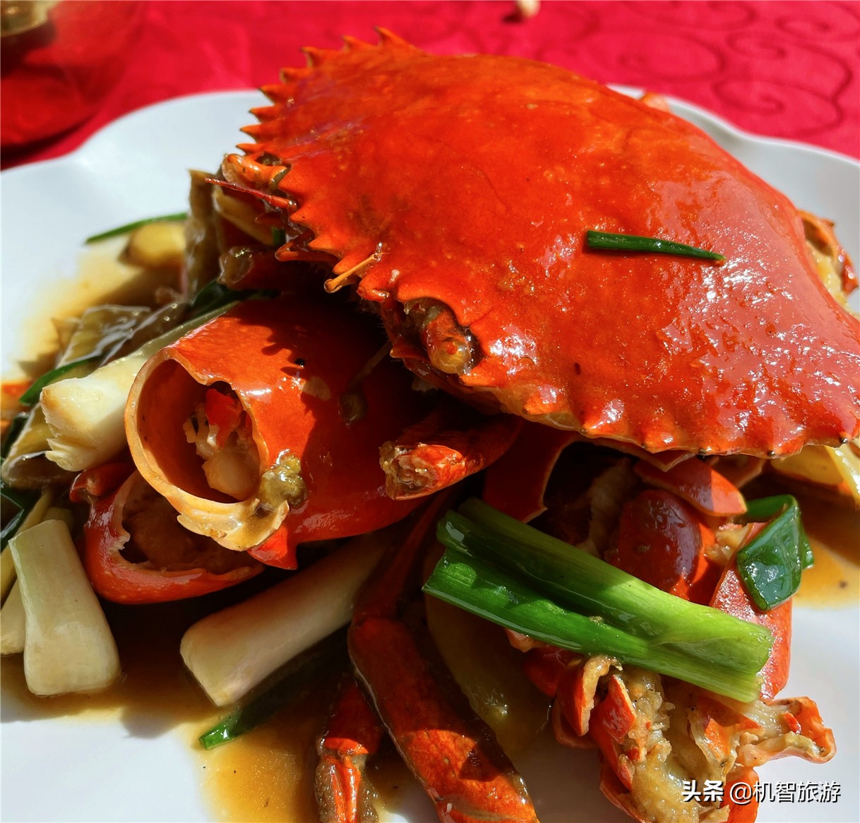 日照旅游攻略白天去哪玩,日照旅游省钱攻略大全