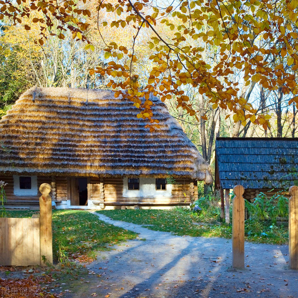 散文寻一处静谧,独居山林的隐居生活散文