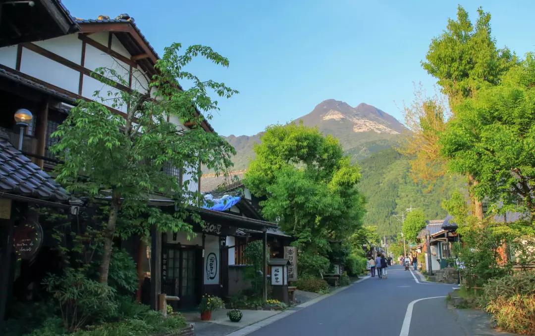 日本樱花现在还在开吗,日本樱花快要开放了吗