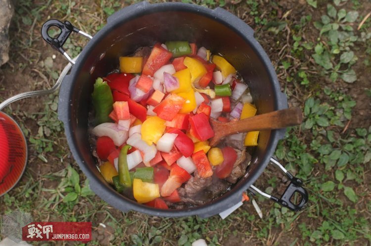 snowline雪线高压锅,snowline电压力锅