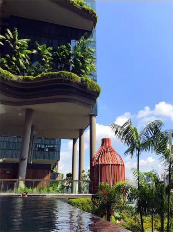 新加坡马来西亚泰国旅游攻略,新加坡马来西亚四日游攻略