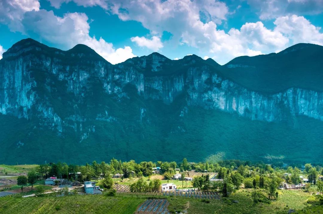 值得收藏两千成语头尾接龙,2000个成语接龙快人快语