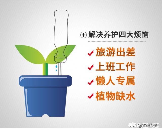 出差旅行又担心花草没浇水干死？学会三招，出去多久都不用担心