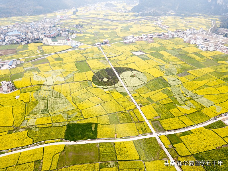 易经卜卦怎么操作,易经卜卦怎么入门