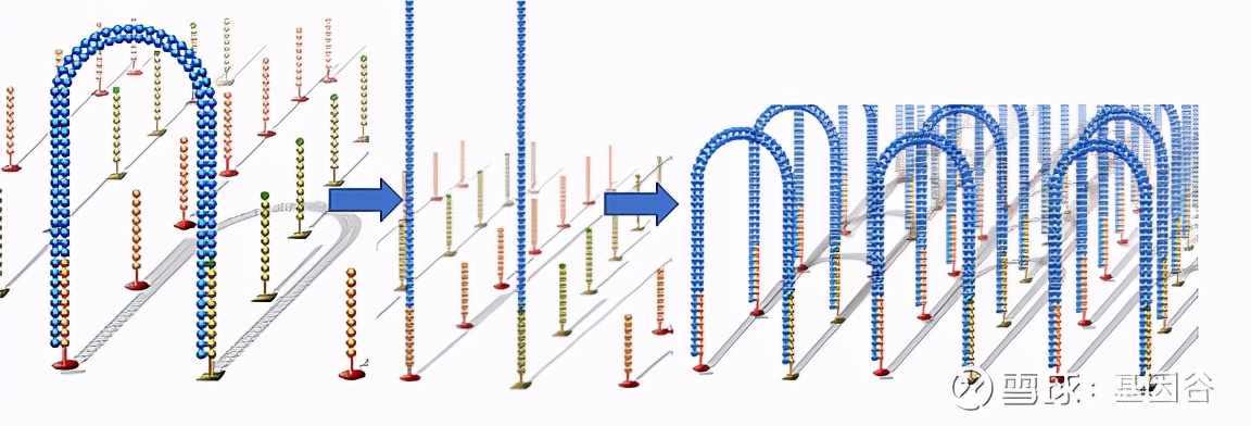 全场硬菜！分子诊断技术全解析