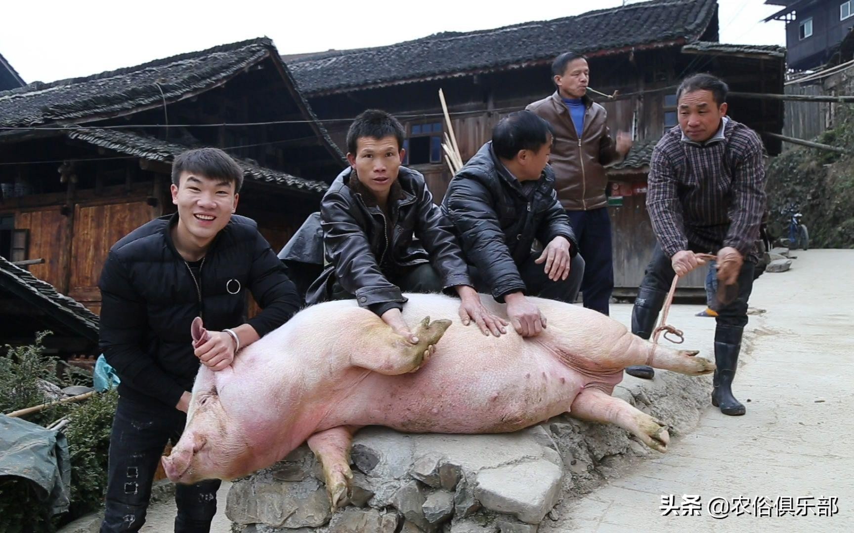 祭灶二十三的讲究,腊月二十三祭灶农村