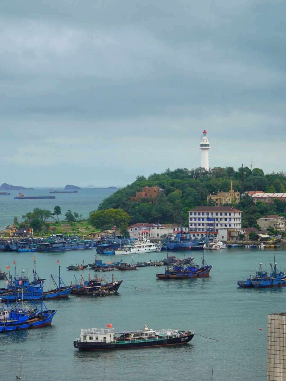 3天2夜游！它是被低估的海滨小城，藏着独属于11月的盛大美景|冬游齐鲁