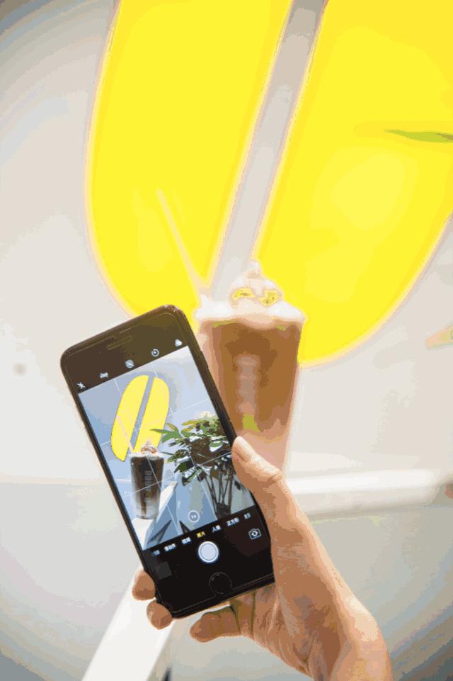 顾村公园一年一度赏樱,顾村公园赏樱点