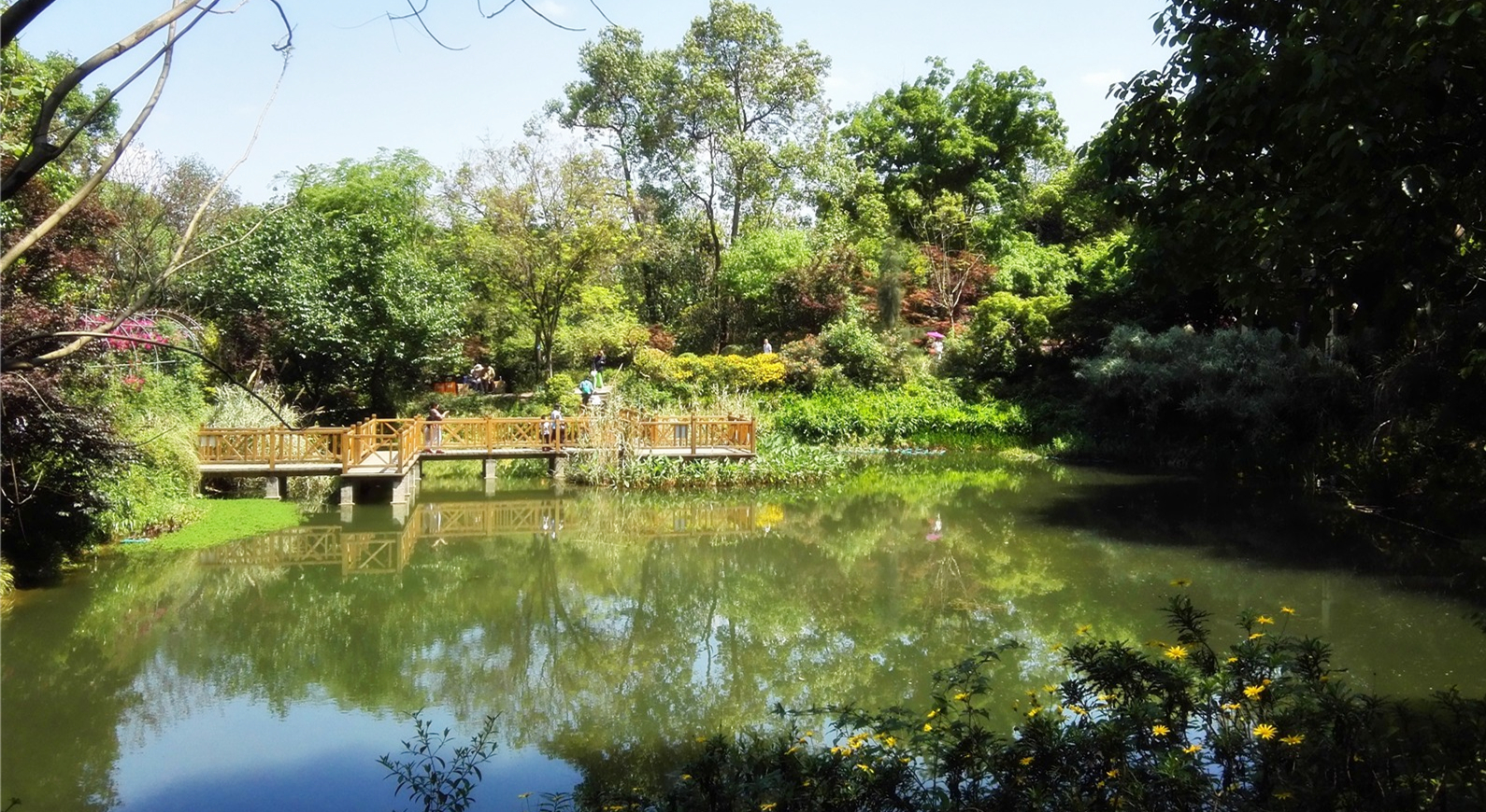 成都向西看最高的山,成都最高的山峰
