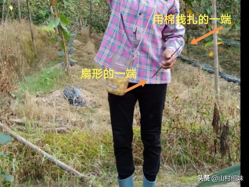 罗汉果授粉正当时,3种授粉方式选哪种?老农说授粉工具更关键