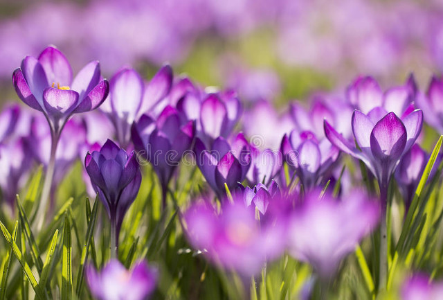 用心守护你的美丽,用心守护所有的美好