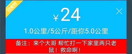 闪送合适还是正常送快递合适,闪送为啥没订单是因为等级吗