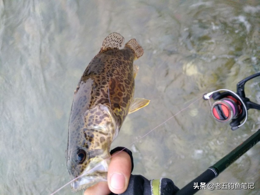 钓遍江河的最佳方法,钓全鱼的正确方法